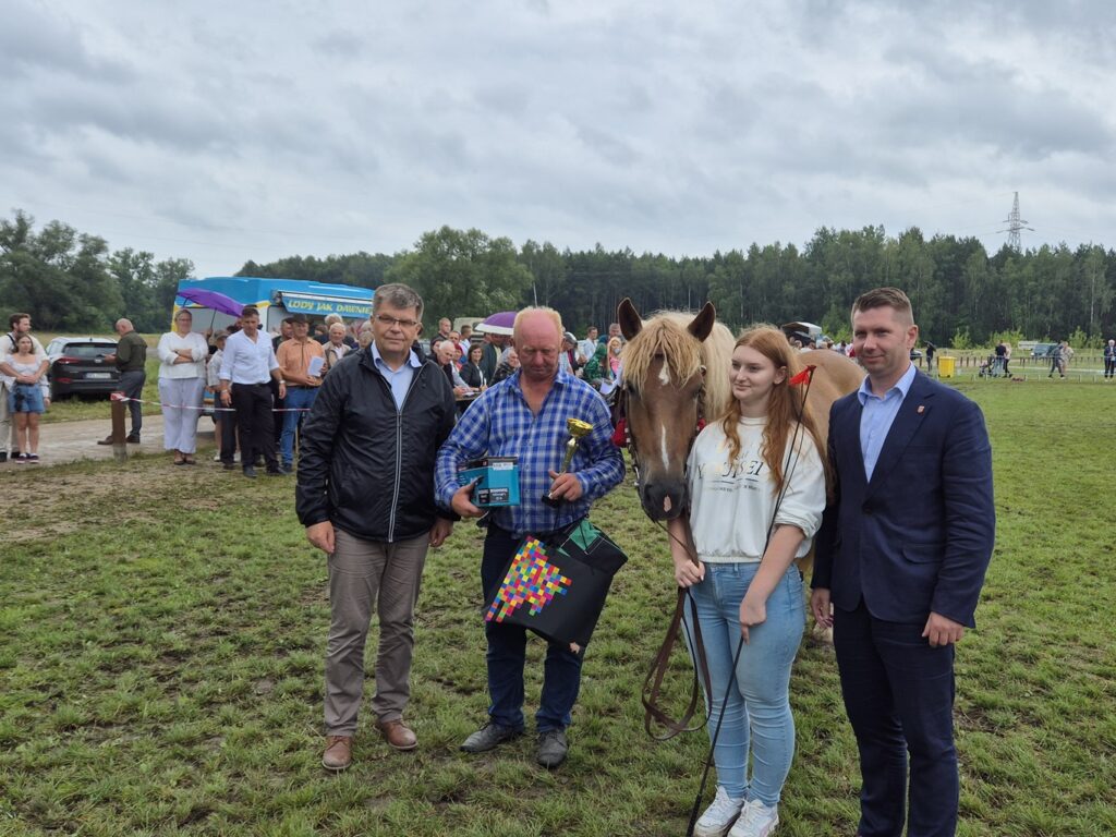 Fotorelacja z XVI Regionalnej Wystawy Koni Hodowlanych