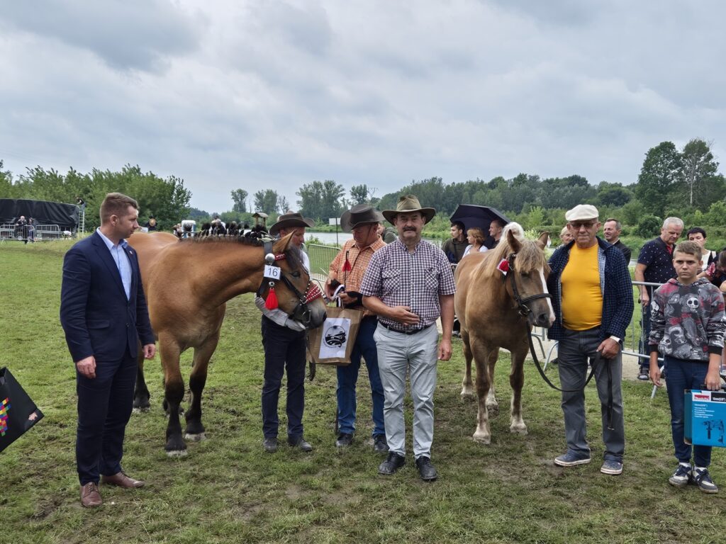 Fotorelacja z XVI Regionalnej Wystawy Koni Hodowlanych