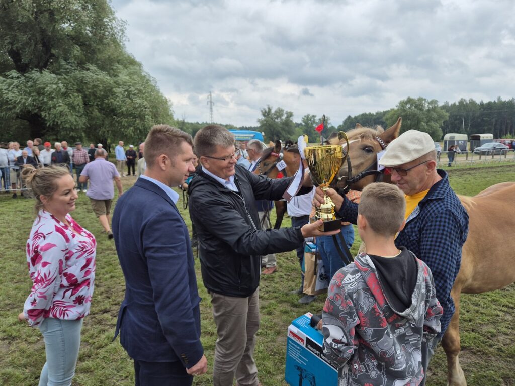 Fotorelacja z XVI Regionalnej Wystawy Koni Hodowlanych