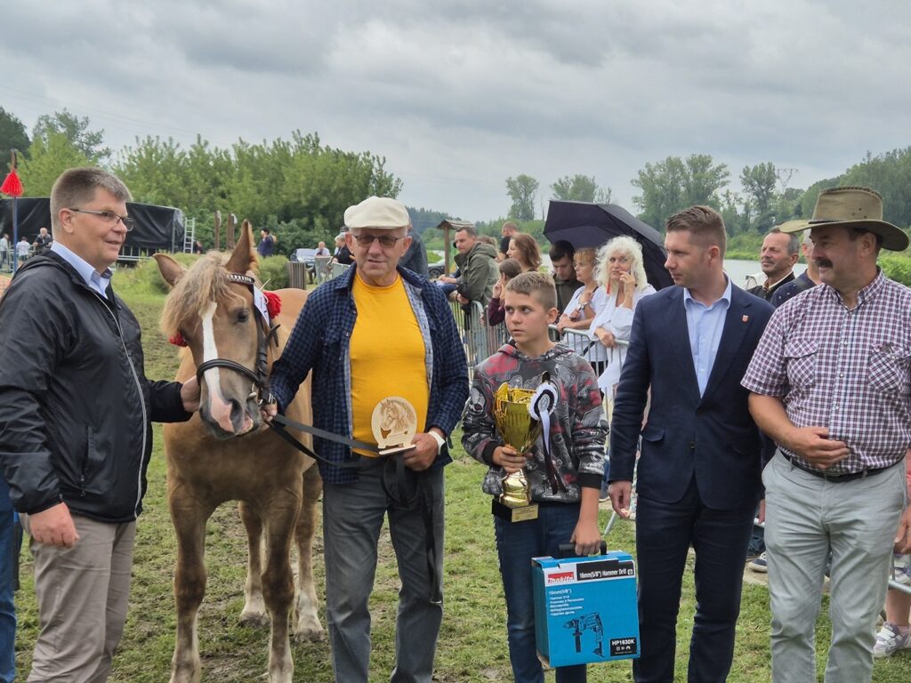 Fotorelacja z XVI Regionalnej Wystawy Koni Hodowlanych