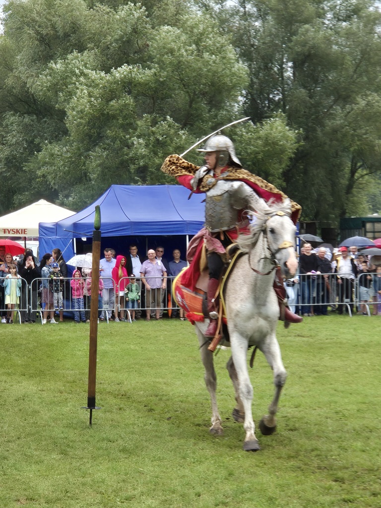 Fotorelacja z XVI Regionalnej Wystawy Koni Hodowlanych